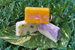 3soapnoflower.jpg